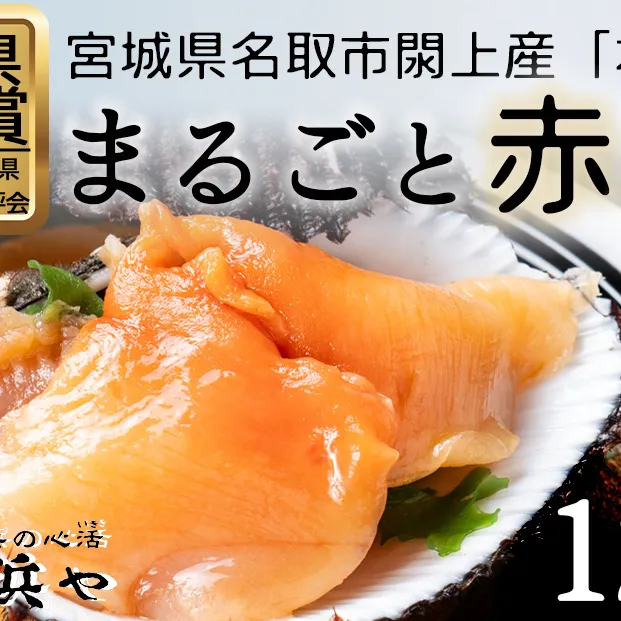 【閖上赤貝】まるごと赤貝　１２個入り