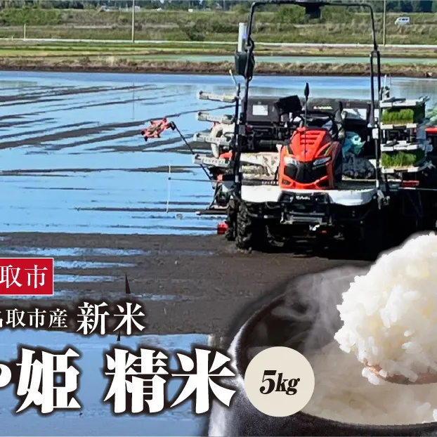 《令和7年産新米》つや姫 精米　5kg　宮城県名取市産