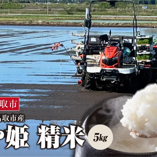 《令和7年産》つや姫 精米　5kg　宮城県名取市産