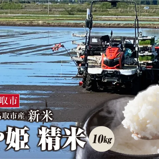 《令和7年産新米》つや姫 精米　10kg（5kg×2）　宮城県名取市産