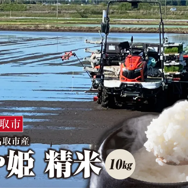 《令和7年産》つや姫 精米　10kg（5kg×2）　宮城県名取市産