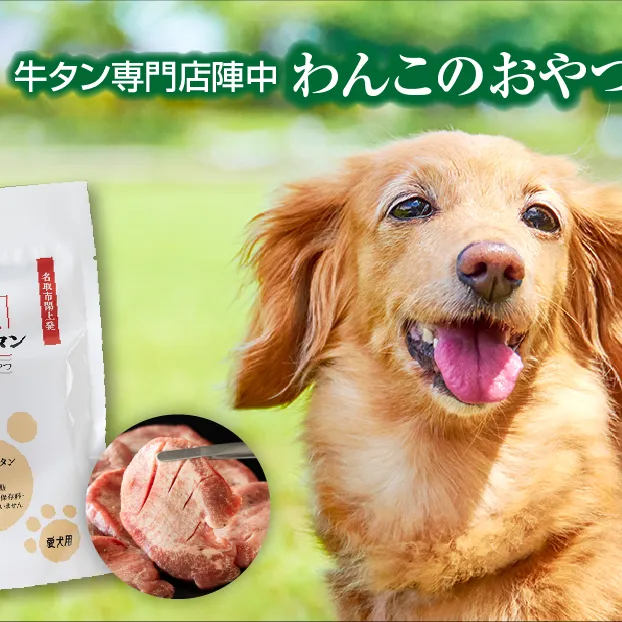 陣中 わんこのおやつ水煮100g×3パックセット