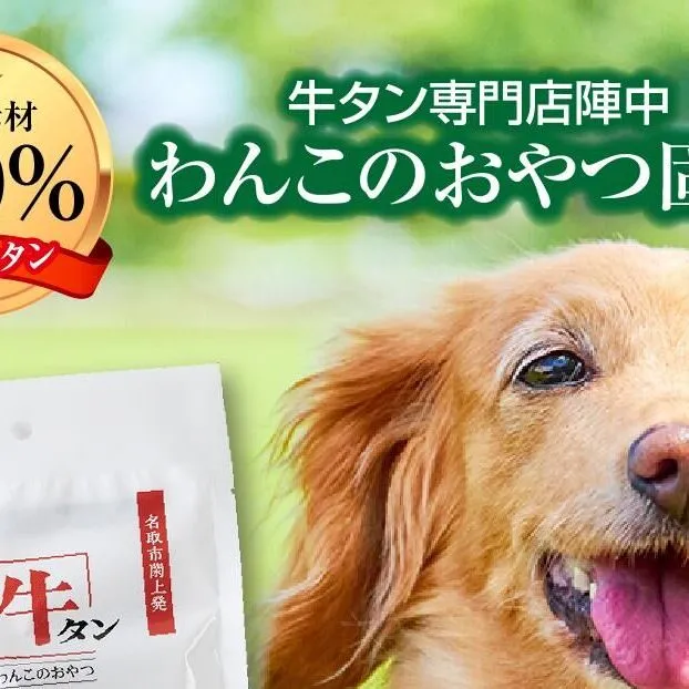 陣中 わんこのおやつ水煮 100g×3パックセット