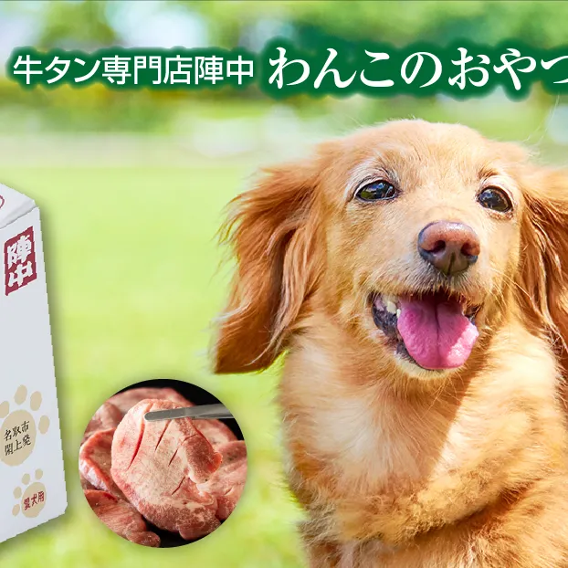 陣中 わんこのおやつペースト5本入り3箱セット