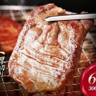 仙台名物 牛タン 厚切り牛タン 塩味  600g  (300g×2) 宮城県 名取市 肉 焼肉 牛肉 精肉 牛たん 牛タン塩 牛たん塩 冷凍 BBQ アウトドア バーベキュー 厚切り タン 600g