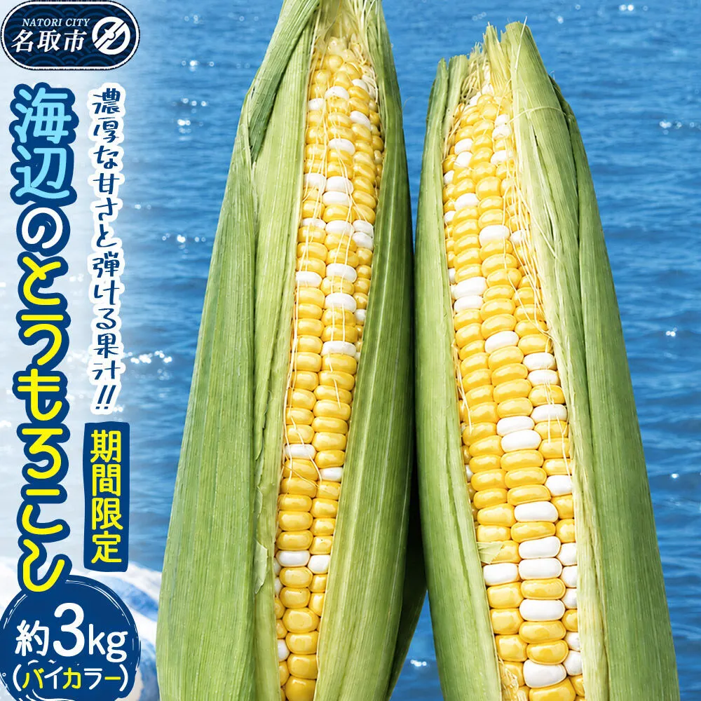 【期間限定】濃厚な甘さと弾ける果汁！海辺のとうもろこし【バイカラー】約3kg（7～8本程度）バイカラーコーン [今が旬 トウモロコシ とうもろこし きみ キミ きび とうきび 甘い 宮城県名取市産 国産]