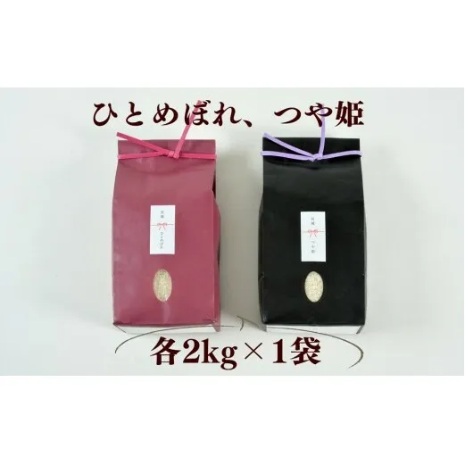 ≪令和7年産≫ こだわりのお米　つや姫2ｋｇ＆ひとめぼれ2ｋｇ