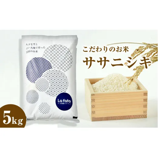 ≪令和7年産≫ こだわりのお米　ササニシキ5ｋｇ