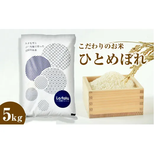 ≪令和7年産≫ こだわりのお米　ひとめぼれ5ｋｇ