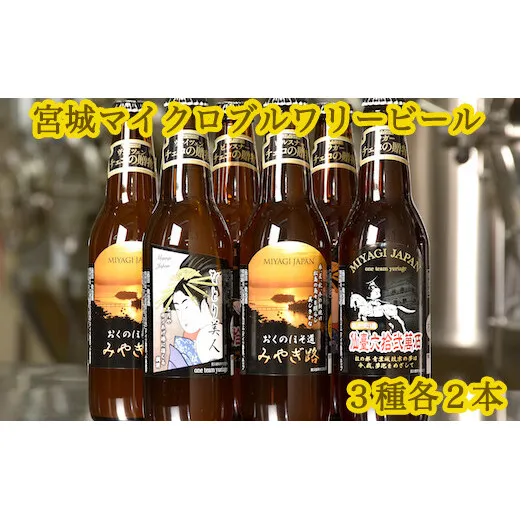 クラフトビール　3種計6本セット（ヴァイツェン ピルスナー デュンケル（ラガー）　各2本計6本）
