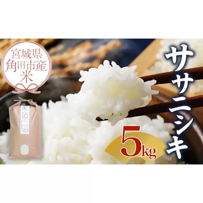 【先行予約】宮城県角田市産米【令和7年産】ササニシキ 5kg×1【10月中旬より順次発送】