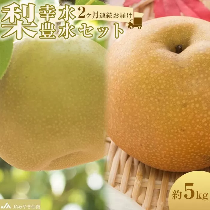 【JAみやぎ仙南】梨「幸水」「豊水」セット 約5kg　2ヶ月連続お届け