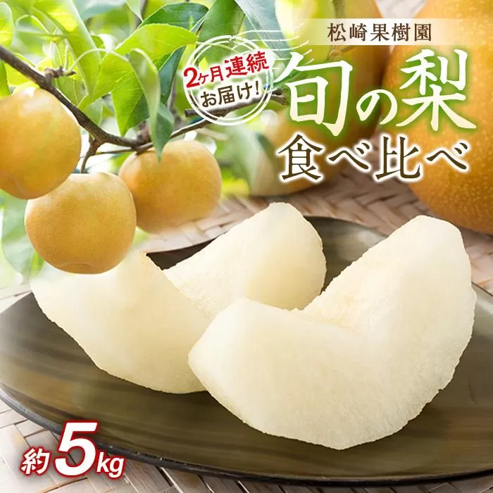 2ヶ月連続お届け 旬の梨食べ比べ 約5kg【松崎果樹園】