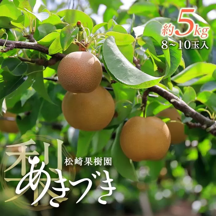 梨「あきづき」約5kg（8〜10玉入）【松崎果樹園】