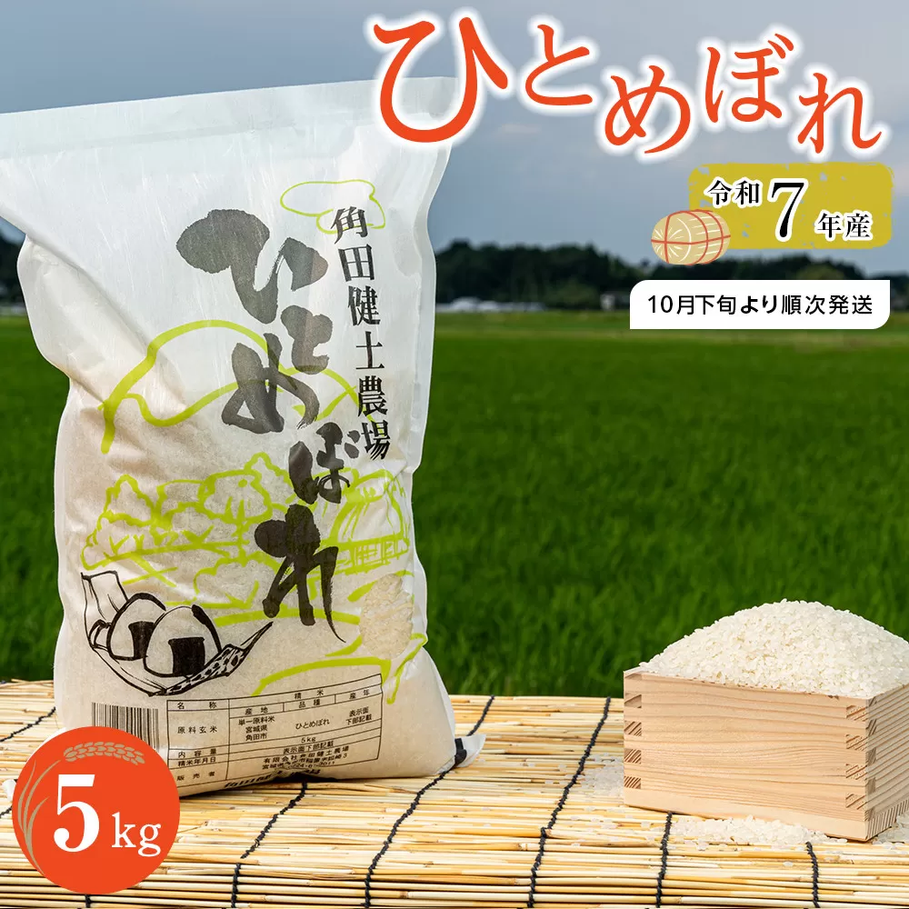 【先行予約】令和7年産　ひとめぼれ　5kg×1袋 【2025年10月下旬より順次発送】