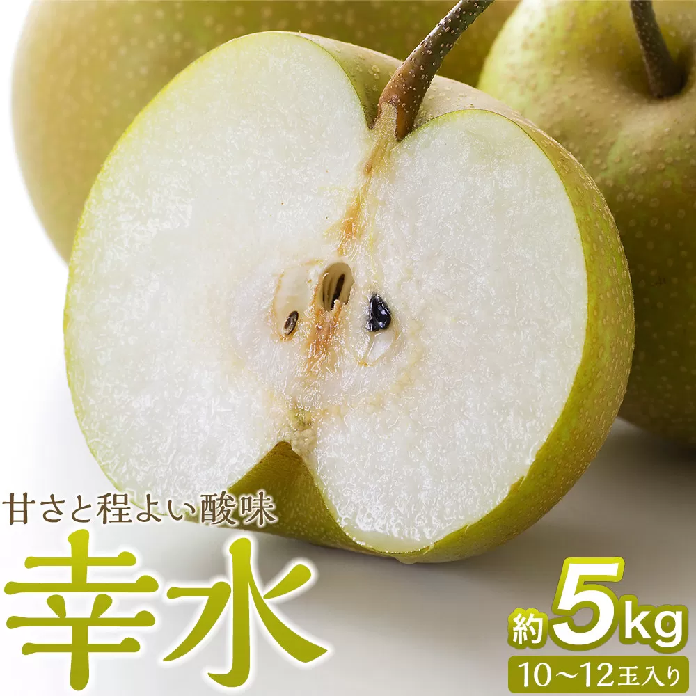 梨「幸水」約5kg（10～12玉入）【松崎果樹園】