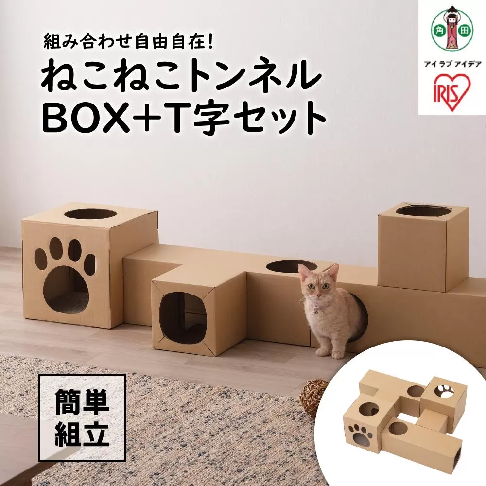 ねこねこトンネル　ＢＯＸ＋Ｔ字セット P-NTBT