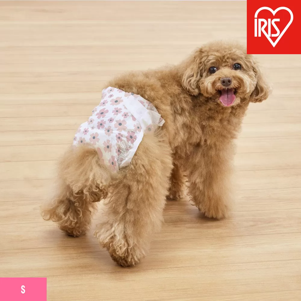 【36枚入り×6袋】ペット用おむつ　ピタフィット　Ｓ　３６枚入　女の子用　　NPD-S36