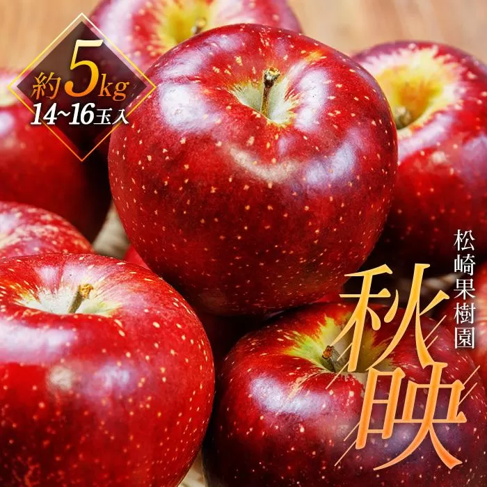 「秋映」約5kg（14〜16玉）【松崎果樹園】