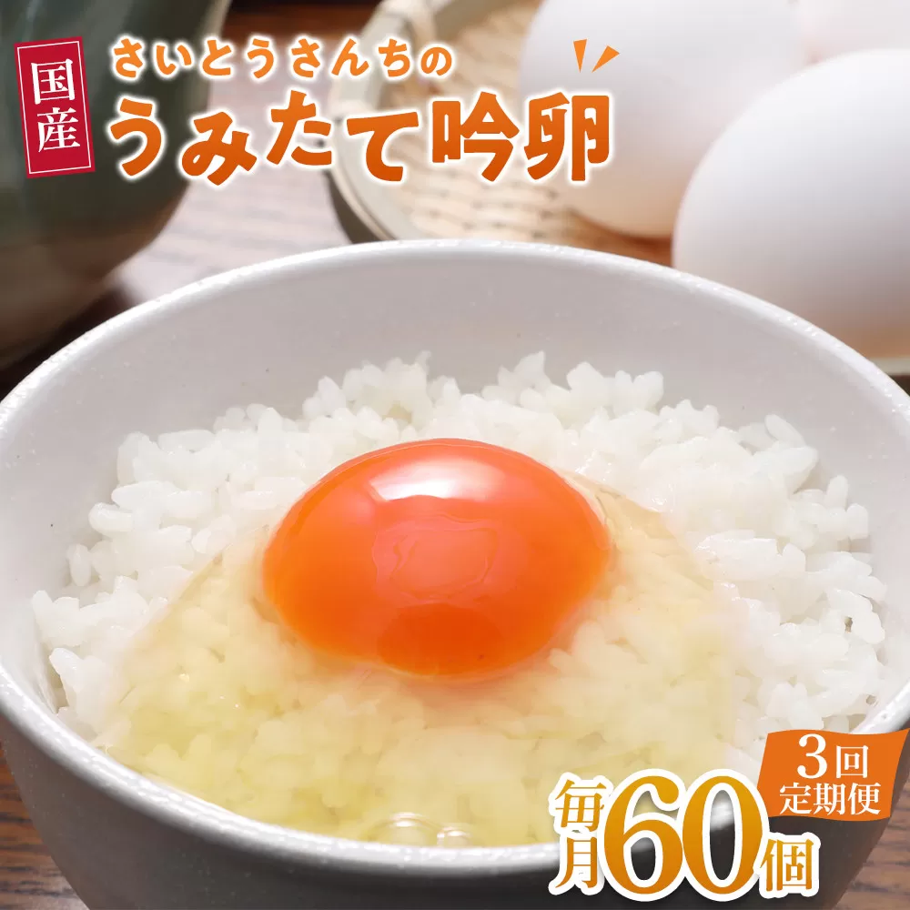 【3回定期便】さいとうさんちのうみたて吟卵　60個入り