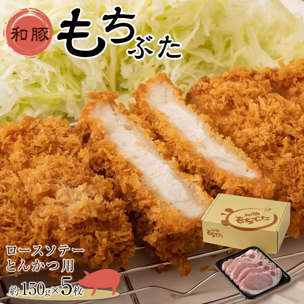 豚肉 『もちぶた』ロース ソテー・とんかつ用  750g ( 約150g × 5枚 )