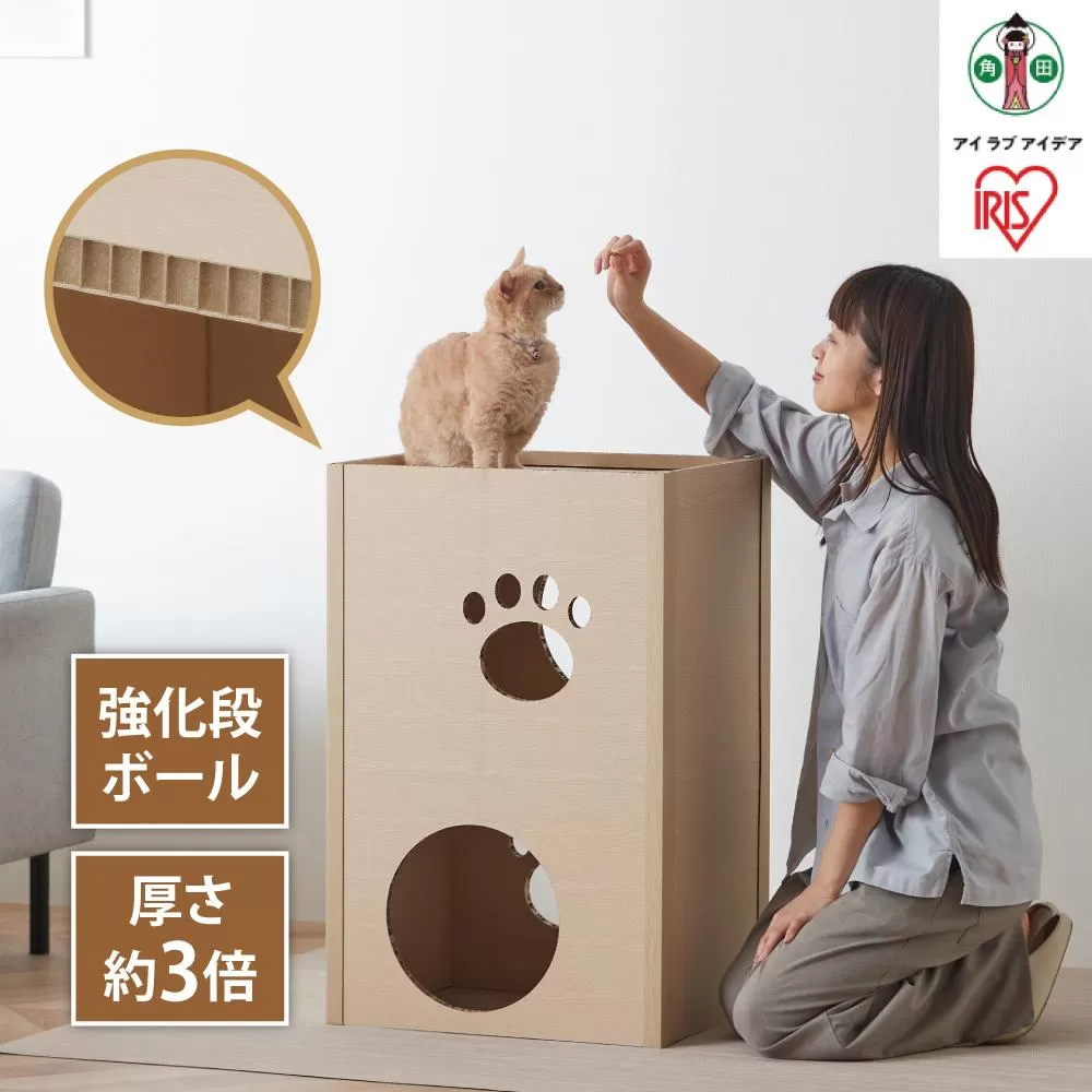 猫　ねこねこタワー　P-NT2