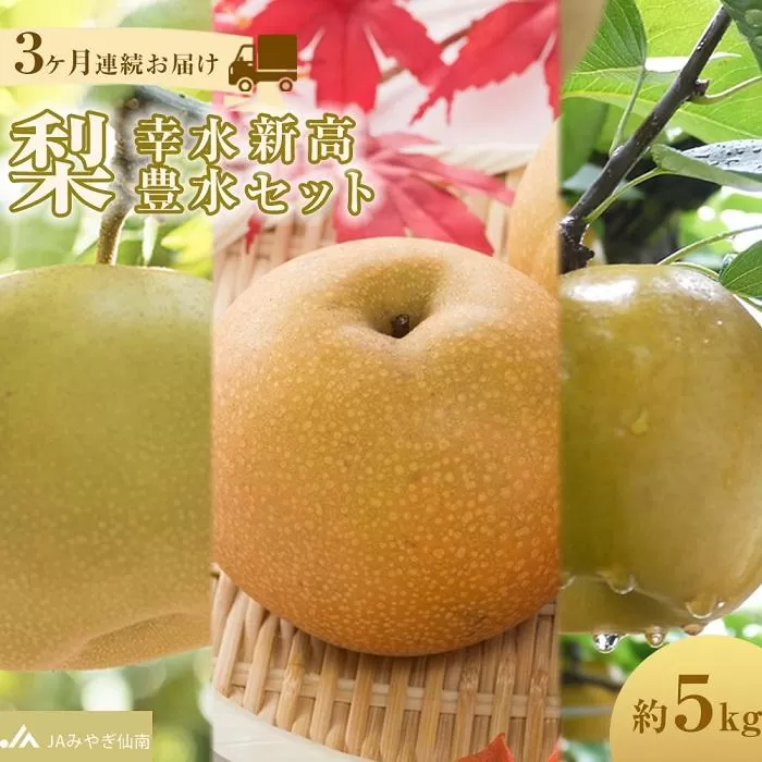 【JAみやぎ仙南】梨「幸水」「豊水」「新高」セット 約5kg　3ヶ月連続お届け