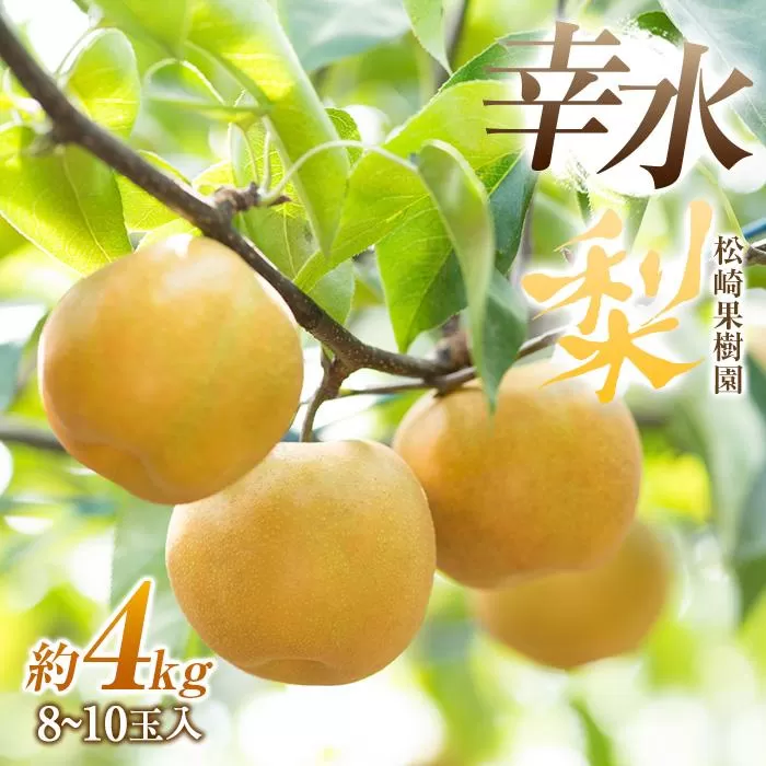 梨「幸水」約4kg（8〜10玉入）【松崎果樹園】