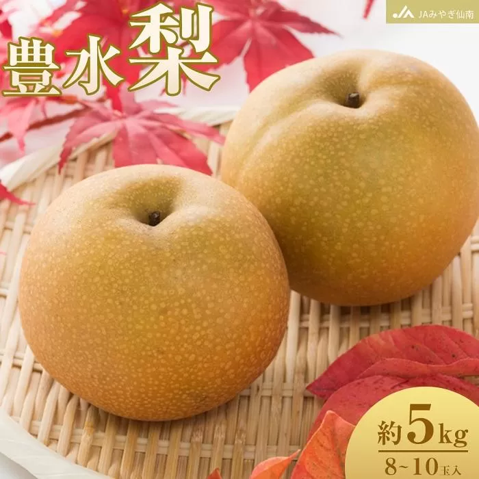 【JAみやぎ仙南】梨「豊水」約5kg (8～10玉入)