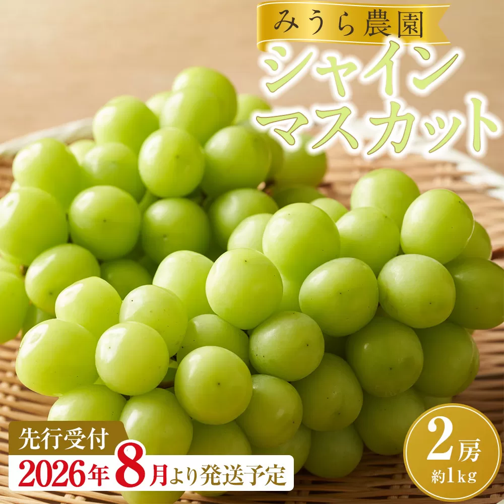 【2026年発送分先行予約】シャインマスカット ２房（約１kg）【2026年9月上旬以降順次】