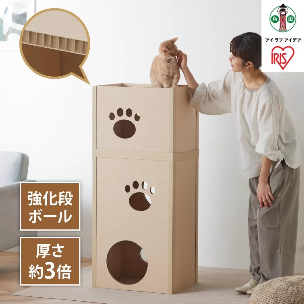 猫　ねこねこタワー　P-NT3