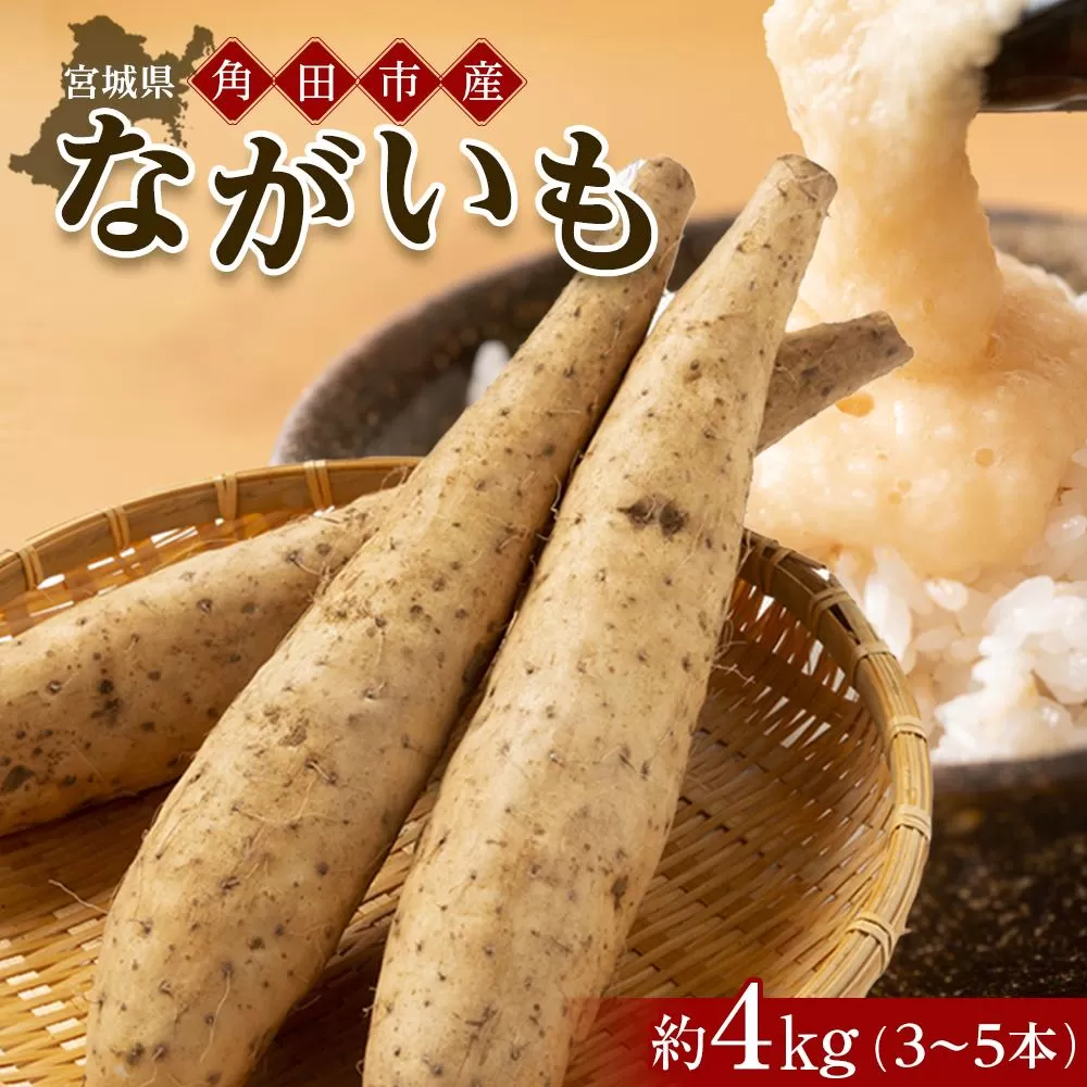 【先行予約】宮城県角田市産ながいも約４kg（３～５本）【2025年11月下旬～順次発送】