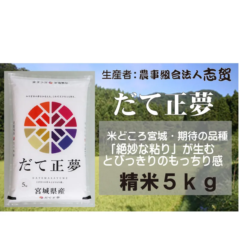 【10月受付再開予定/令和7年産新米】米 だて正夢 5kg 志賀沢米 岩沼産 お米 白米 精米 ブランド米 単一原料米 5キロ こめ コメ おこめ ご飯 ライス 東北 宮城県産 だてまさゆめ 宮城米 絶妙な粘り とびっきりのもっちり感 宮城 宮城県 岩沼市