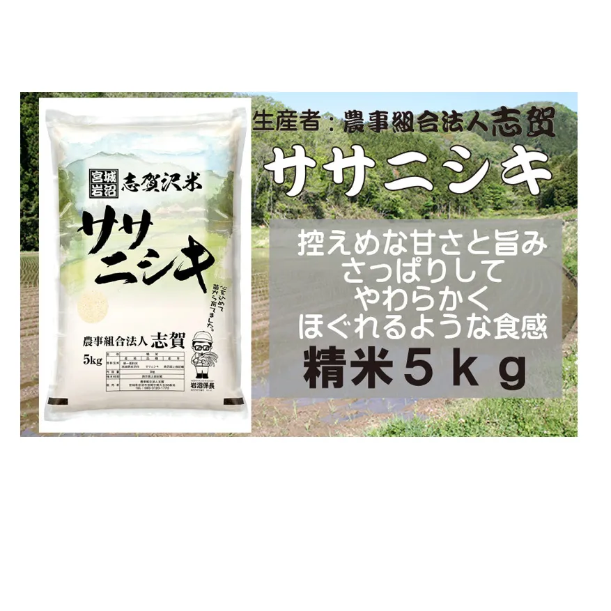 【令和7年産新米】米 ササニシキ 5kg 志賀沢米 岩沼産 お米 白米 精米 ブランド米 単一原料米 5キロ こめ コメ おこめ ご飯 ライス ささにしき 宮城県産ササニシキ 東北 宮城県産 宮城米 宮城 宮城県 岩沼市
