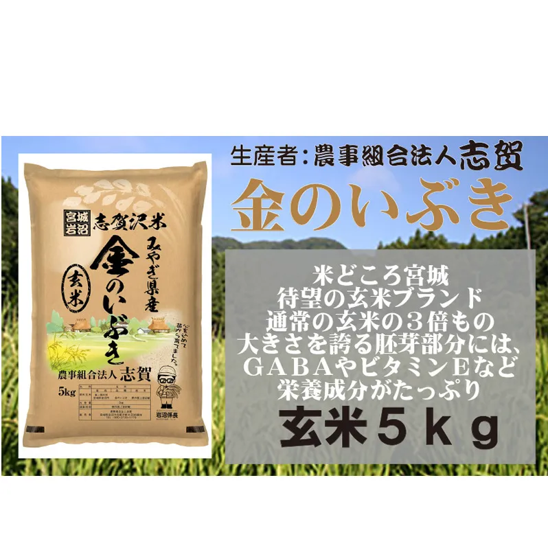 【10月受付再開予定/令和7年産新米】玄米 金のいぶき 5kg 志賀沢米 岩沼産 お米 ブランド米 単一原料米 5キロ こめ コメ おこめ ご飯 ライス 玄米ごはん 玄米ご飯 きんのいぶき 金のいぶき玄米 東北 宮城県産 宮城米 宮城 宮城県 岩沼市