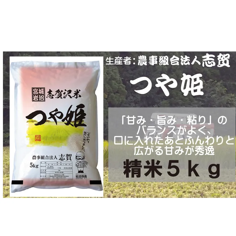 【令和7年産新米】米 つや姫 5kg 志賀沢米 岩沼産 お米 白米 精米 ブランド米 単一原料米 5キロ こめ コメ おこめ ご飯 ライス つやひめ 宮城県産つや姫 東北 宮城県産 宮城米 グルタミン酸 アスパラギン酸 宮城 宮城県 岩沼市