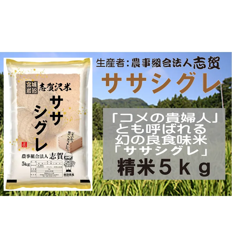 【令和7年産新米】宮城県岩沼市産　志賀沢米　ササシグレ　精米5kg お米 宮城県産 