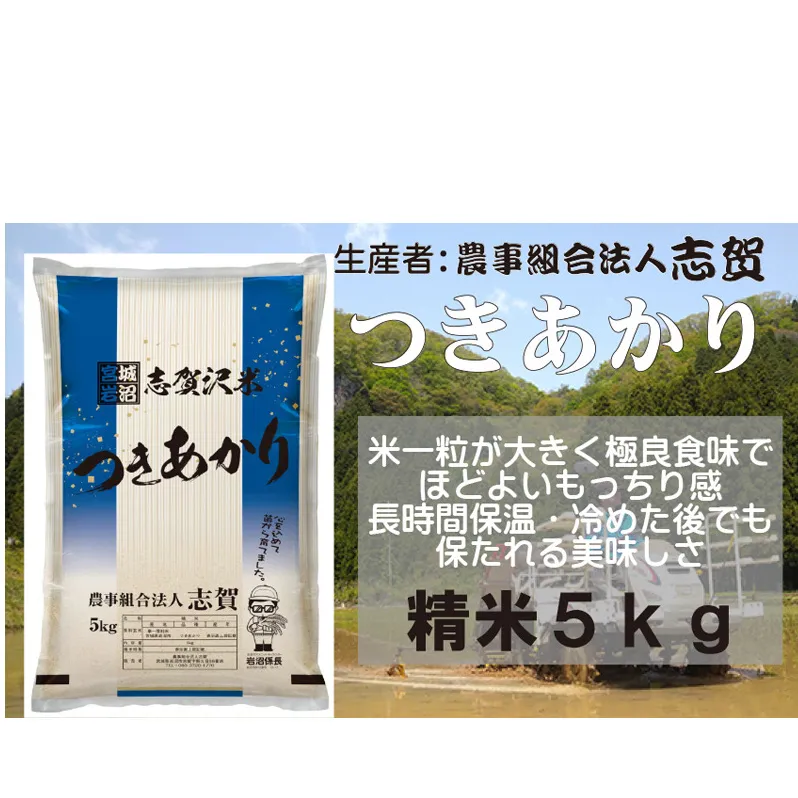 【令和7年産新米】宮城県岩沼市産　志賀沢米　つきあかり　精米5kg お米 宮城県産 