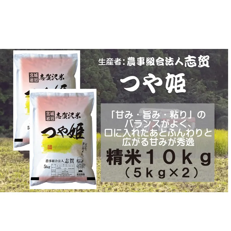 【10月受付再開予定/令和7年産新米】米 つや姫 10kg (5kg×2) 志賀沢米 岩沼産 お米 白米 精米 ブランド米 単一原料米 5キロ 10キロ こめ コメ おこめ ご飯 ライス つやひめ 宮城県産つや姫 東北 宮城県産 宮城県 岩沼市