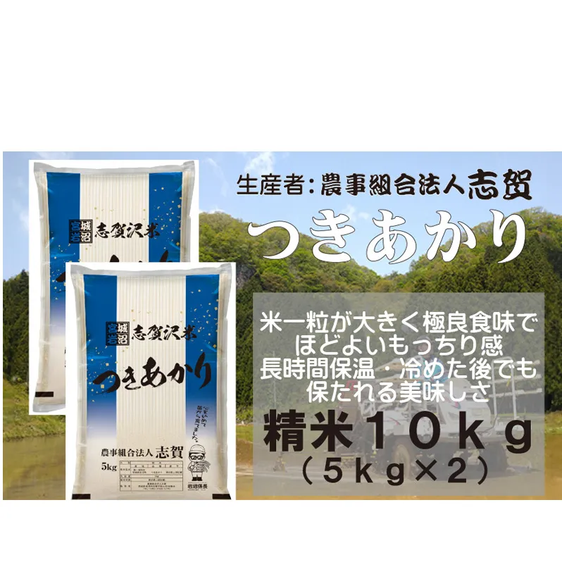 【10月受付再開予定/令和7年産新米】米 つきあかり 10kg (5kg×2) 志賀沢米 岩沼産 お米 白米 精米 ブランド米 単一原料米 5キロ 10キロ こめ コメ おこめ ご飯 ライス 月あかり 東北 宮城県産 宮城米 宮城 宮城県 岩沼市