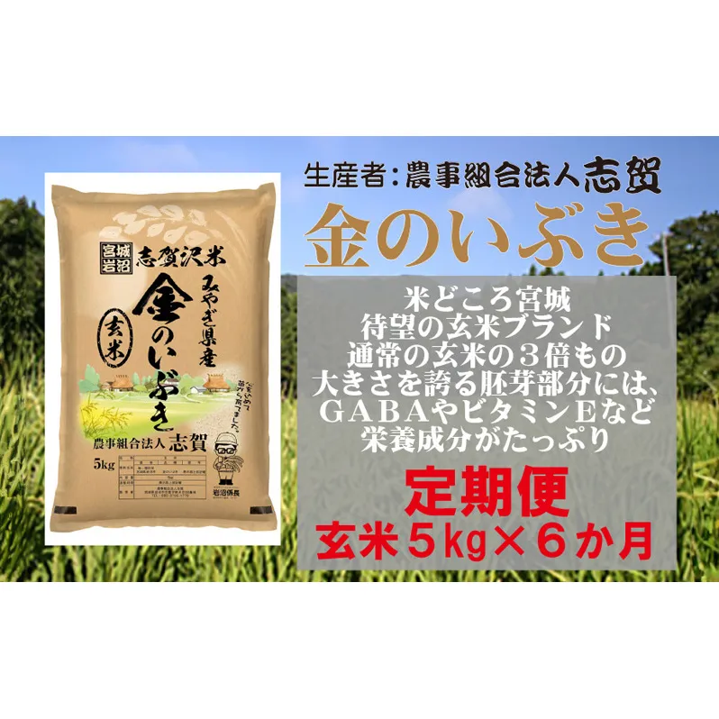 【10月受付再開予定/令和7年産新米】玄米 定期便 6ヶ月 金のいぶき 5kg 志賀沢米 岩沼産 お米 ブランド米 5キロ こめ ご飯 ライス 玄米ごはん 玄米ご飯 きんのいぶき 金のいぶき玄米 東北 宮城県産 米定期便 6回 半年 お楽しみ 宮城米 宮城県 岩沼市