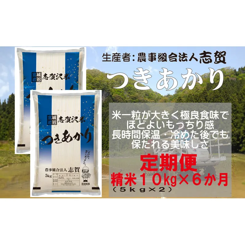 【令和7年産新米】【6ヶ月定期便】宮城県岩沼市産 志賀沢米 つきあかり 精米10kg(5kg×2） 