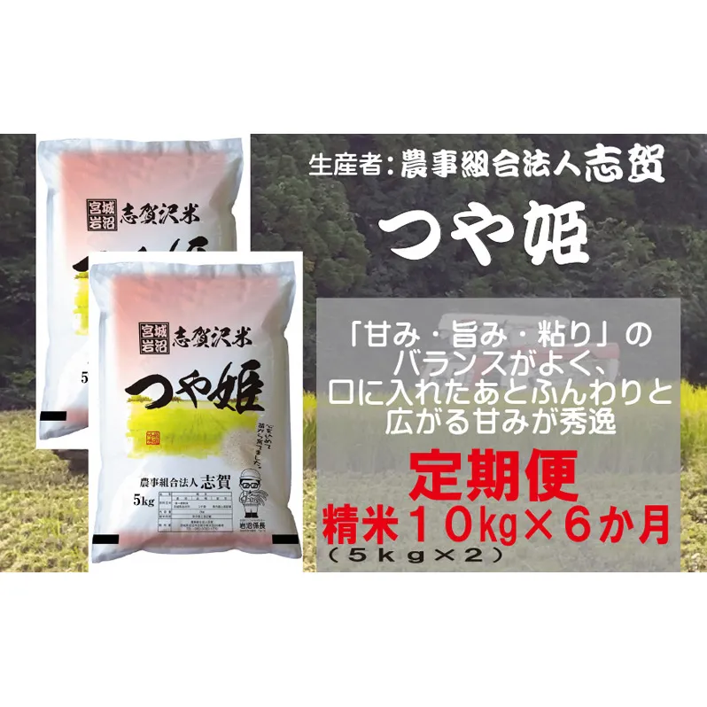 【令和7年産新米】米 定期便 6ヶ月 つや姫 10kg (5kg×2) 志賀沢米 岩沼産 お米 白米 精米 ブランド米 単一原料米 5キロ 10キロ こめ コメ おこめ ご飯 ライス つやひめ 宮城県産つや姫 宮城県 岩沼市