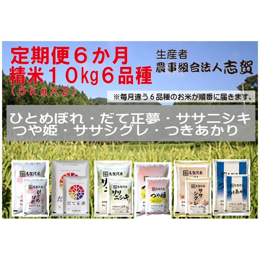 【令和7年産新米】食べ比べ！【6ヶ月定期便】宮城県岩沼市産 志賀沢米 10kg サブスク　 