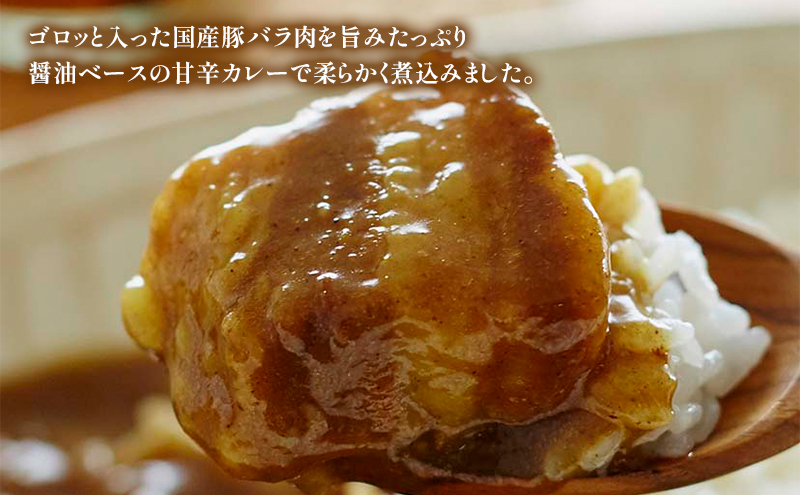 楽天市場】阿波市産豚カレー 徳島ご当地カレー 阿波ポークカレー