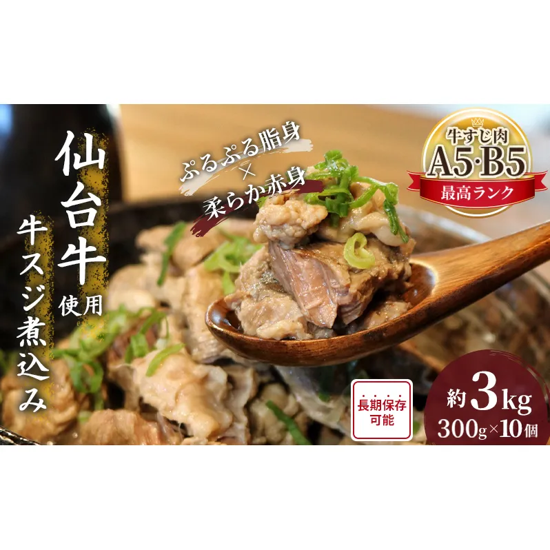牛すじ煮込み 3kg (300g×10個) セット 詰め合わせ 仙台牛 国産 牛 国産牛 国産牛肉 牛肉 肉 お肉 牛すじ 牛筋 煮込み 惣菜 化学合成添加物不使用 保存料不使用 湯煎 湯せん ボイル 牛すじ肉 すじ肉 ご飯のお供 ごはんのお供 宮城 宮城県 岩沼市