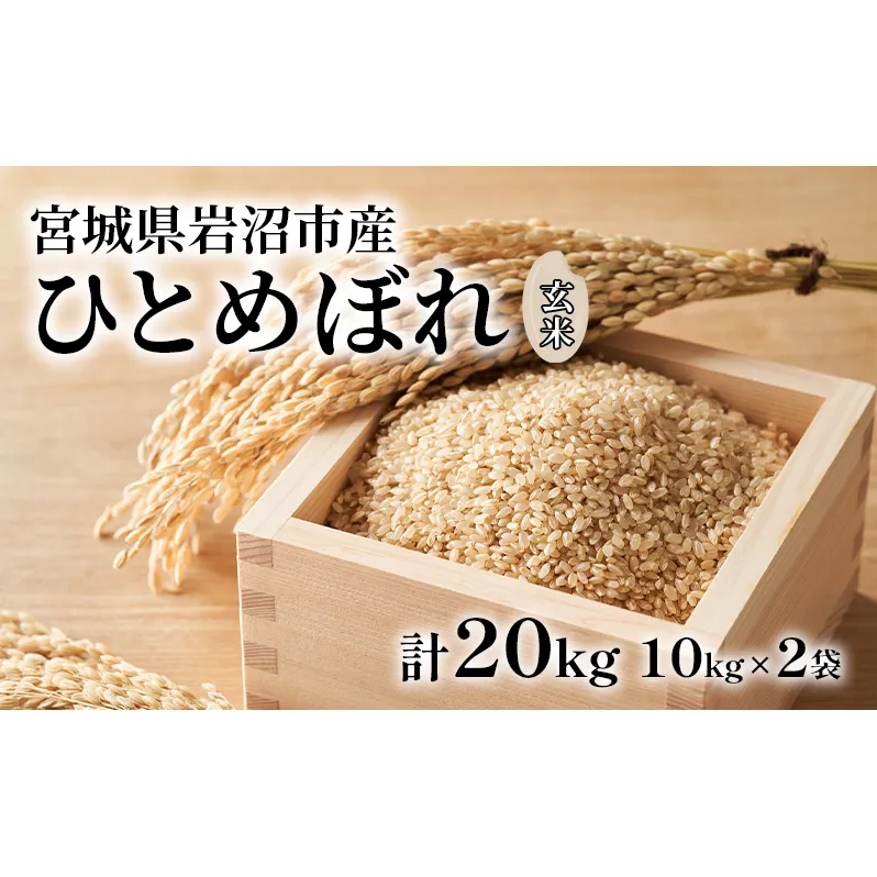 玄米 ひとめぼれ 20kg (10kg×2) 米 ブランド米 単一原料米 10キロ 20キロ おこめ ご飯 ライス 宮城県産ひとめぼれ 東北 宮城県産 宮城米 宮城 宮城県 岩沼市
