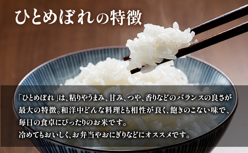 玄米 ひとめぼれ 10kg (5kg×2) 米 ブランド米 単一原料米 5キロ