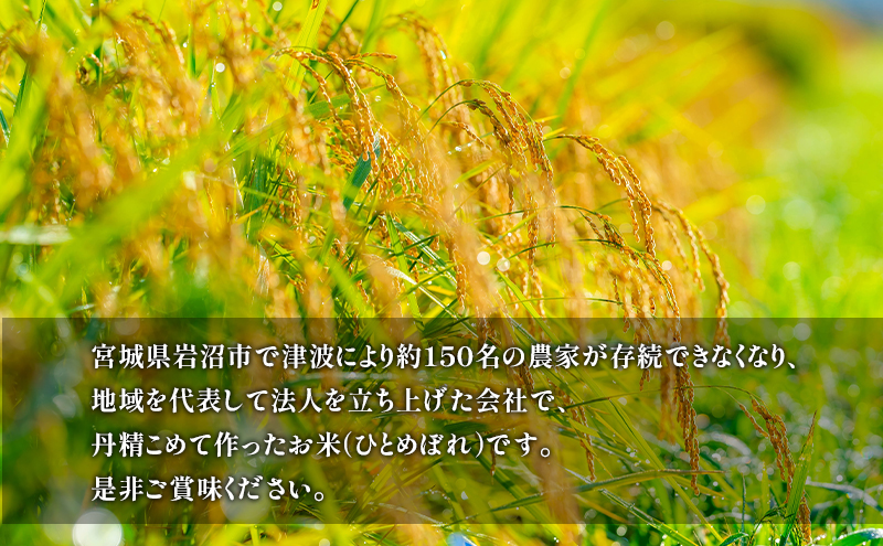 宮城県産　ひとめぼれ6年産　玄米10kg 楽天市場】無農薬 玄米 米 10kgひとめぼれ 宮城県産 JAS有機米