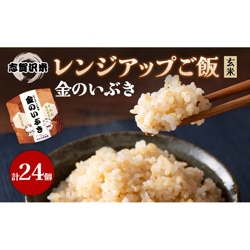 レトルト 金のいぶき 志賀沢米レンジアップごはん24個セット 常温 常温保存 レトルト食品 パックご飯 パックごはん ごはん ご飯